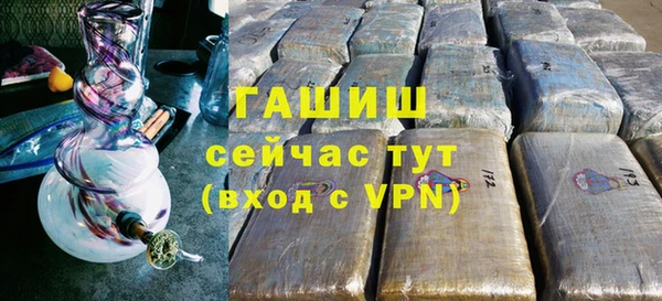 стаф Гусев
