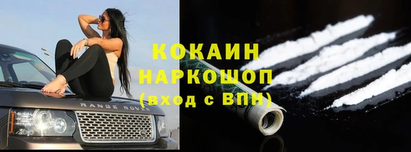 стаф Гусев