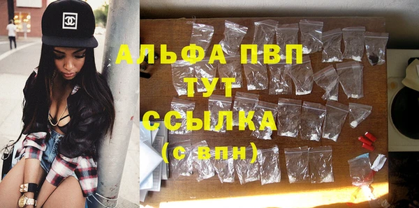 Альфа ПВП Гусиноозёрск