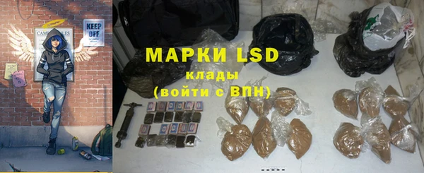 стаф Гусев