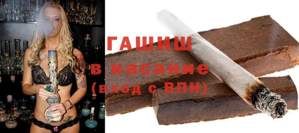 стаф Гусев