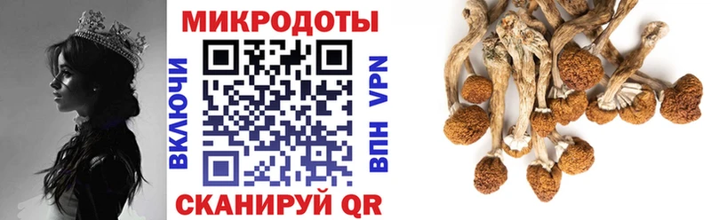 Псилоцибиновые грибы ЛСД  Купить где  Киреевск 